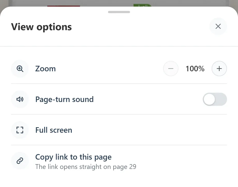 The View options sheet: zoom, page-turn sound, full screen and copy link