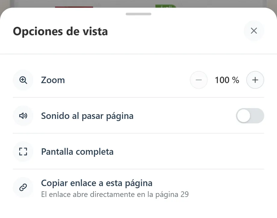El panel «Opciones de vista»: zoom, sonido de página, pantalla completa y copiar enlace