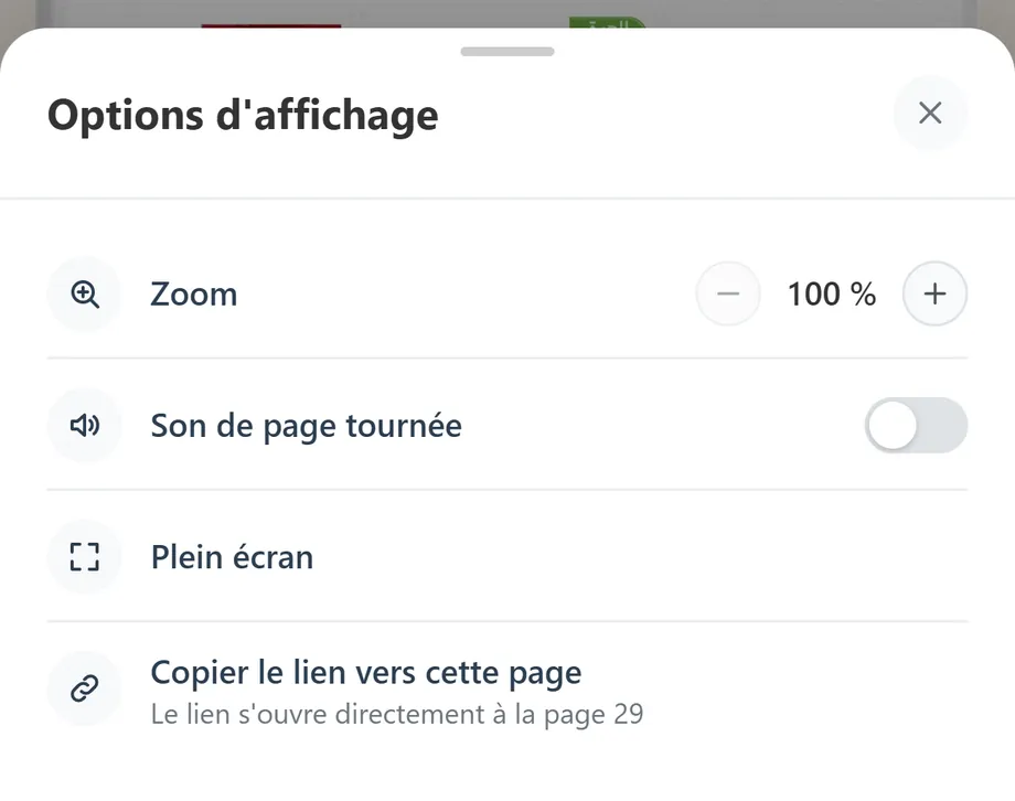 Le volet « Options d’affichage » : zoom, son des pages, plein écran et copie du lien