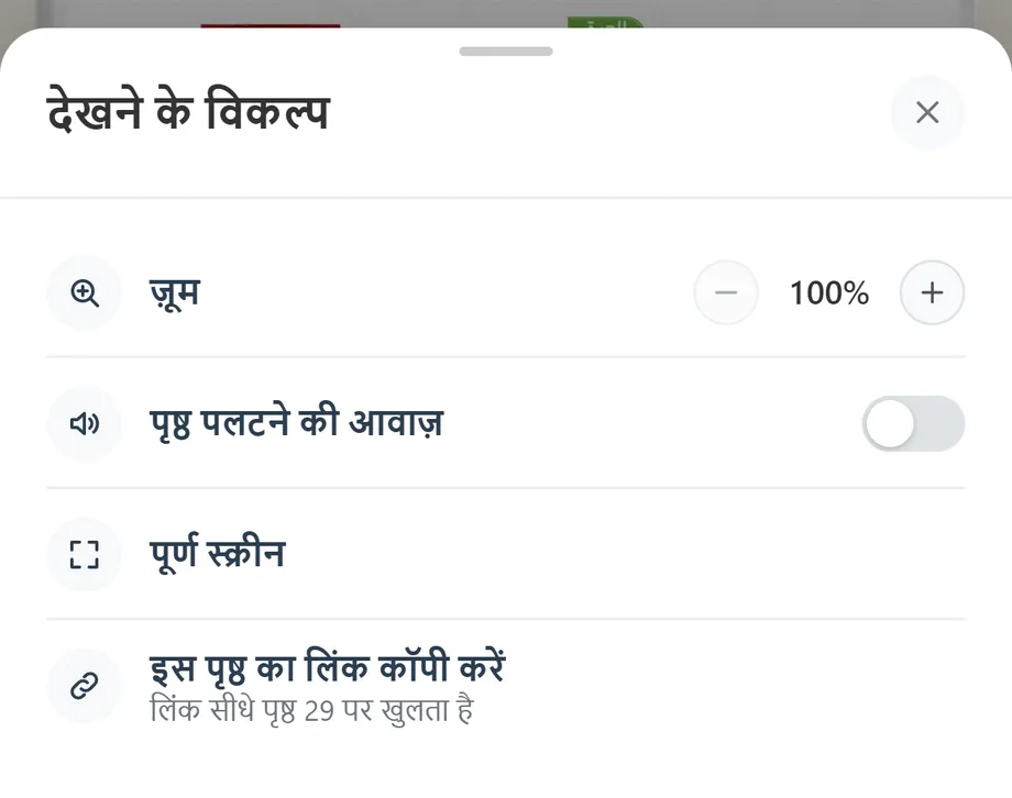 «देखने के विकल्प» पैनल: ज़ूम, पन्ना पलटने की आवाज़, पूर्ण स्क्रीन और लिंक कॉपी