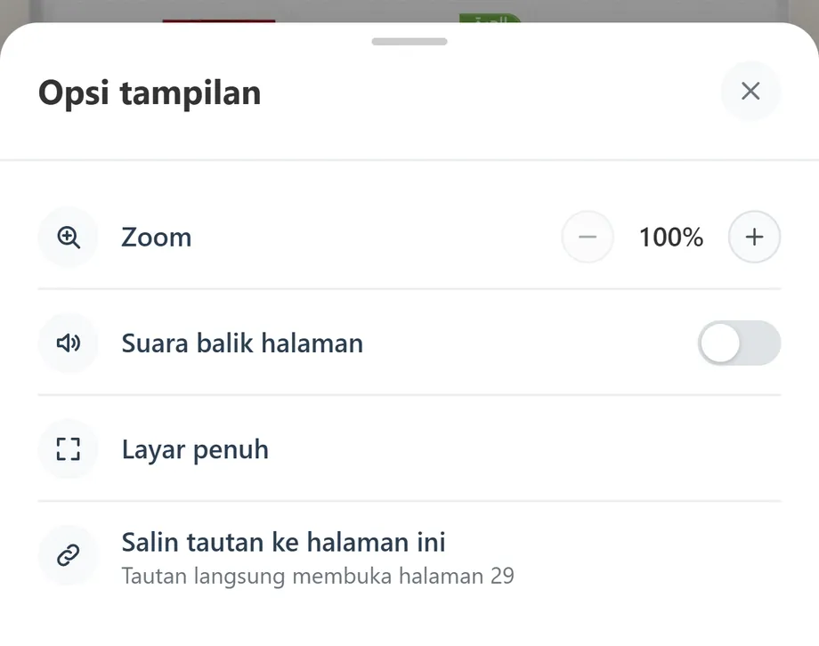 Panel «Opsi tampilan»: zoom, suara balik halaman, layar penuh, dan salin tautan