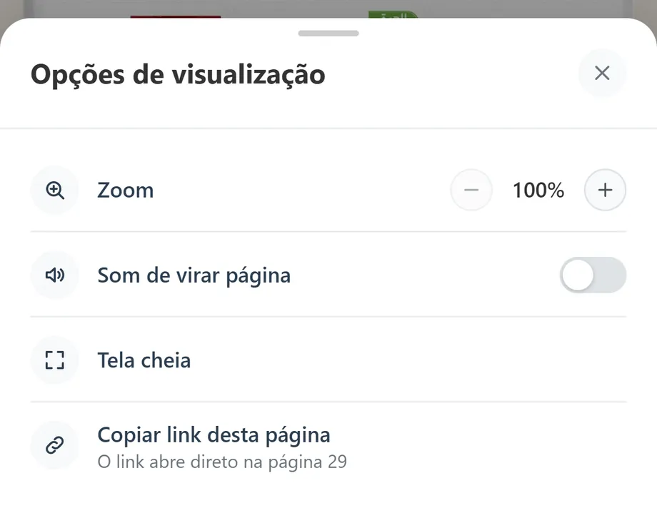 O painel «Opções de visualização»: zoom, som de página, tela cheia e copiar link