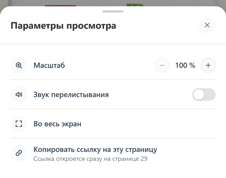 Панель «Параметры просмотра»: масштаб, звук перелистывания, полный экран и копирование ссылки