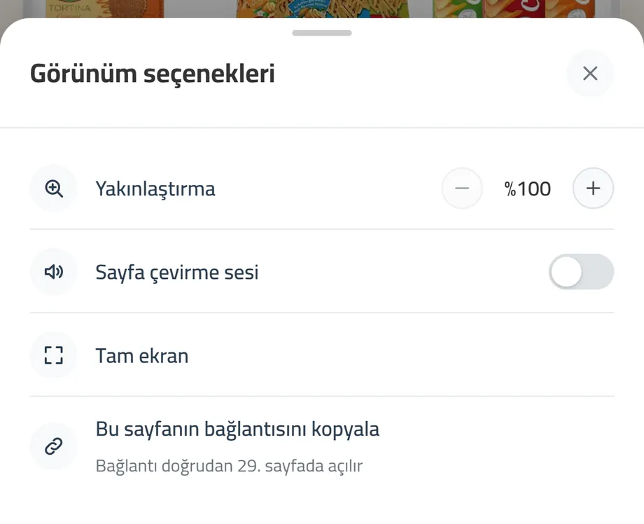 «Görünüm seçenekleri» paneli: yakınlaştırma, sayfa çevirme sesi, tam ekran ve bağlantı kopyalama