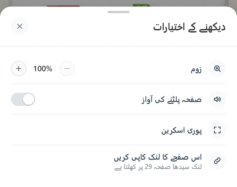 «دیکھنے کے اختیارات» پینل: زوم، صفحہ پلٹنے کی آواز، پوری اسکرین اور لنک کاپی