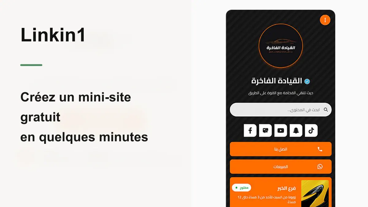 Cr?er un mini-site gratuit en quelques minutes avec Linkin1