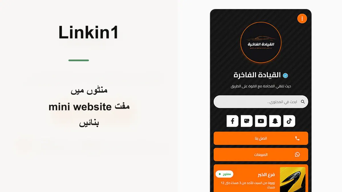 منٹوں میں مفت منی ویب سائٹ کیسے بنائیں — Linkin1 کے ساتھ عملی گائیڈ