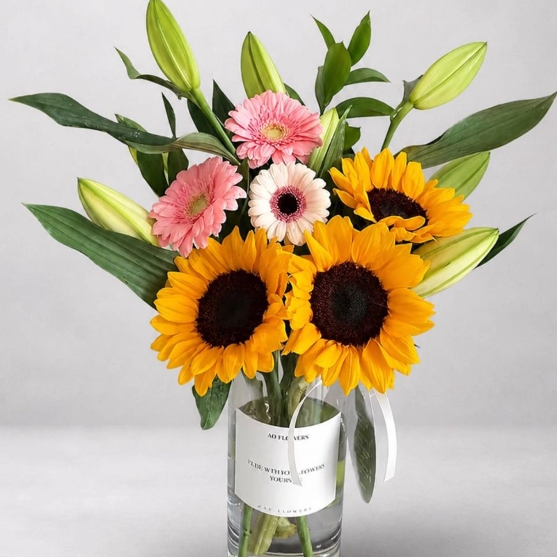 فازة شمس الربيع🌻