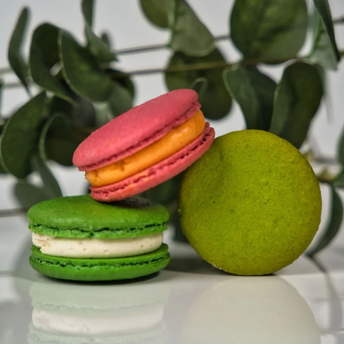 Macarons, box of 6