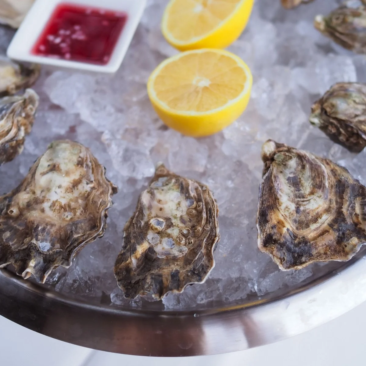 Oysters on ice