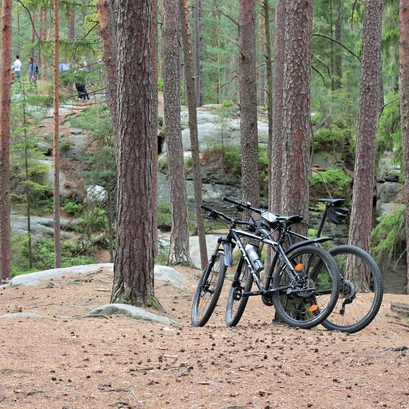 E-mountain bike