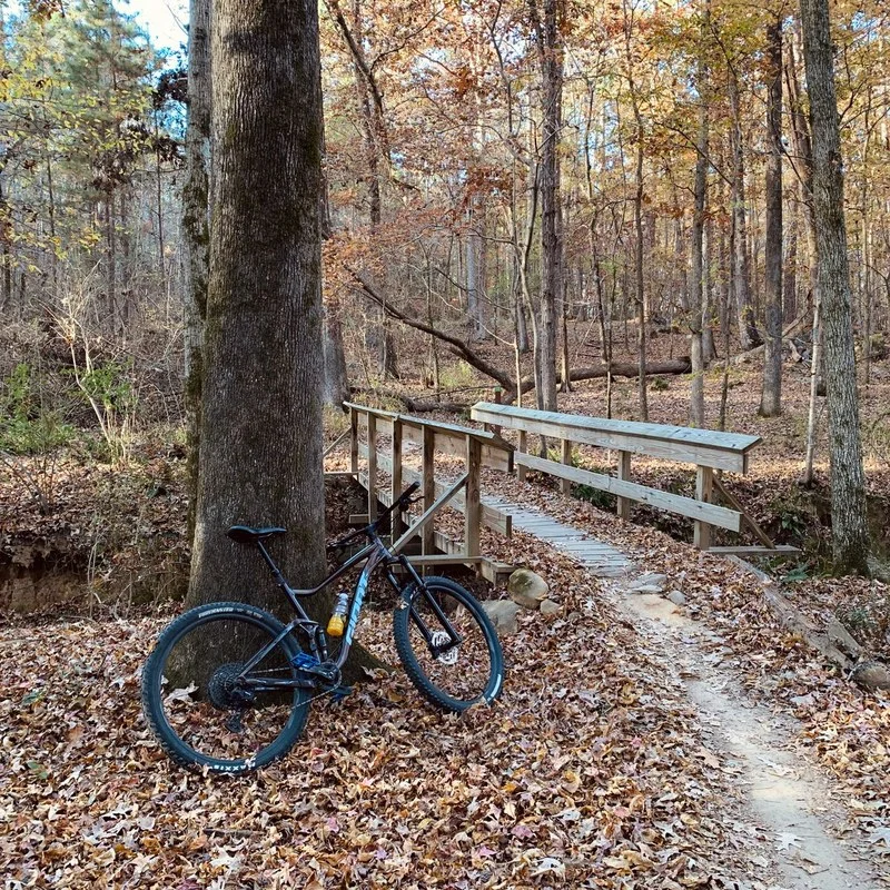 Trail mountain bike